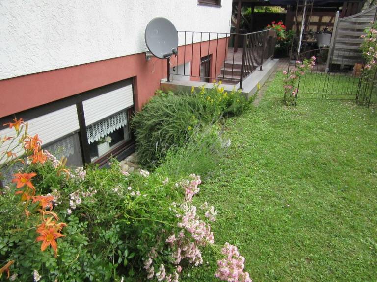foto18