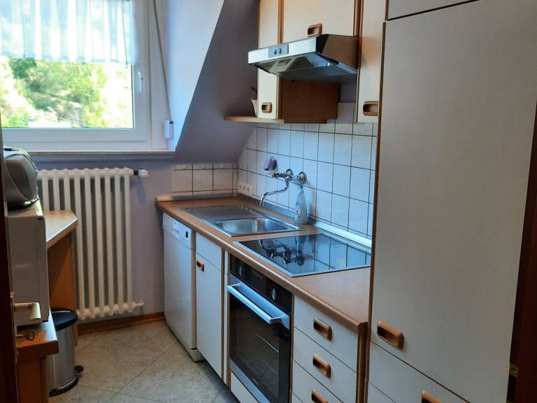 foto19