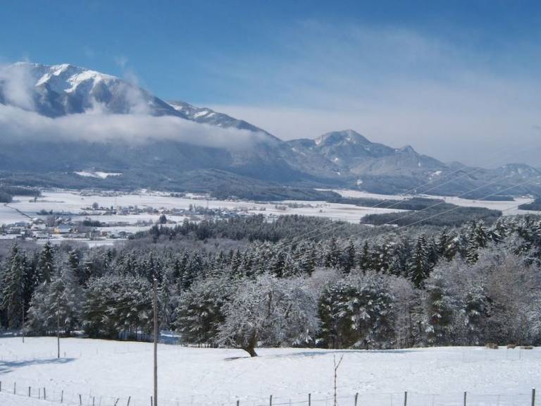 foto4