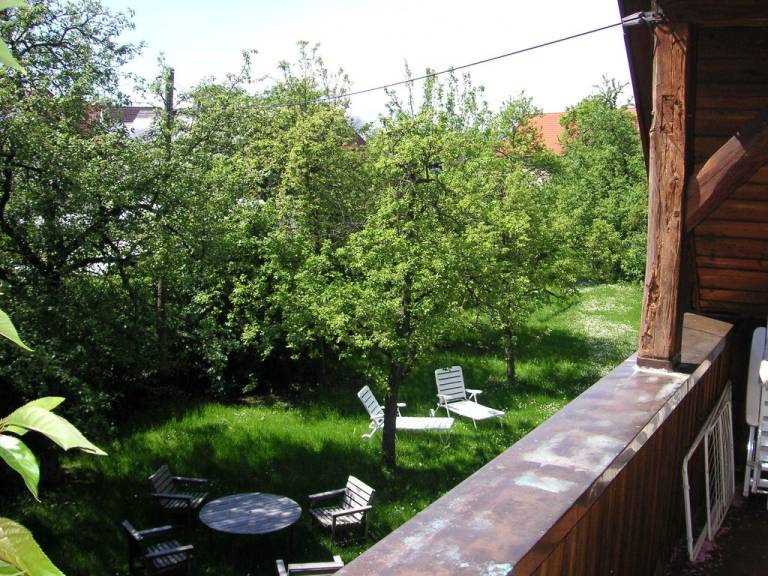 foto7
