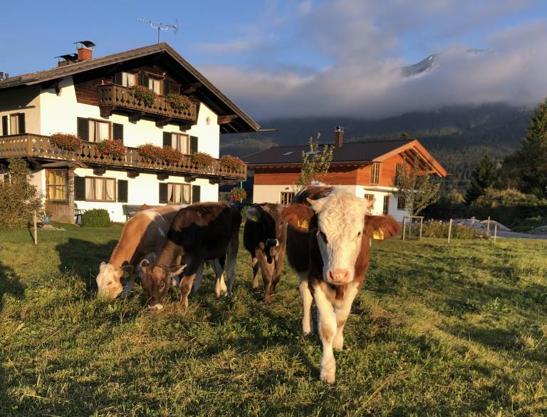 foto4