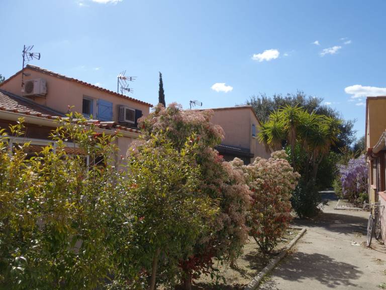 foto14