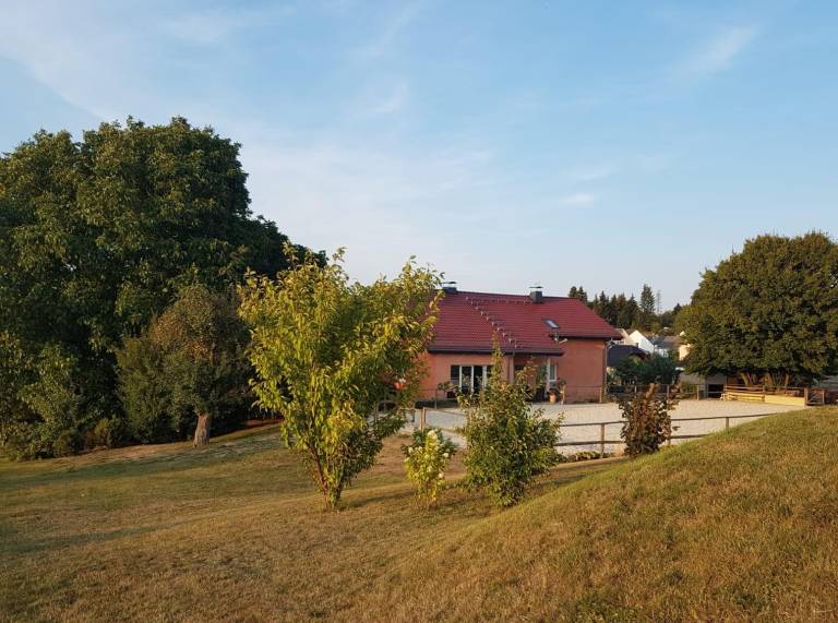 foto1