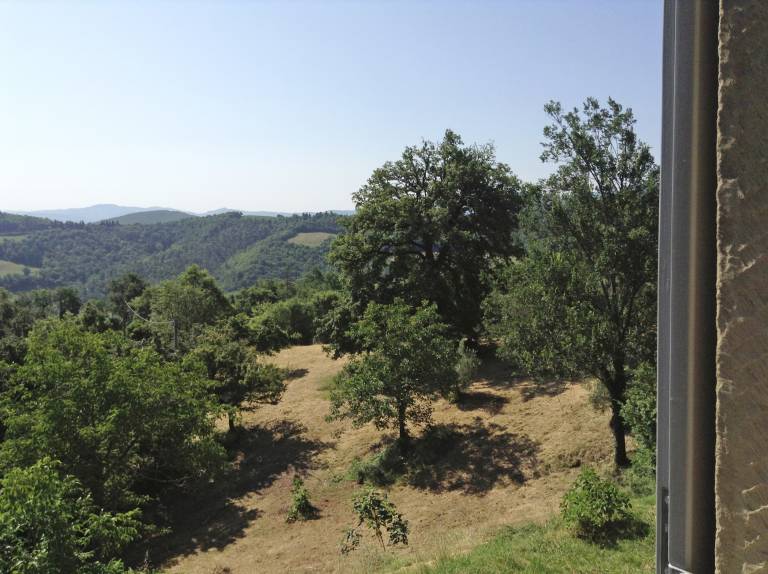 foto11