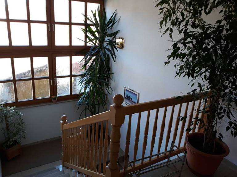 foto45