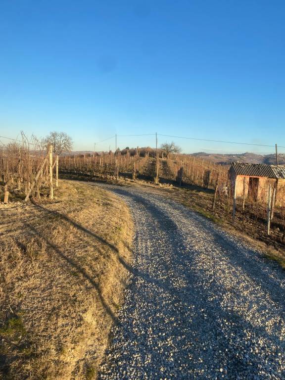 foto22