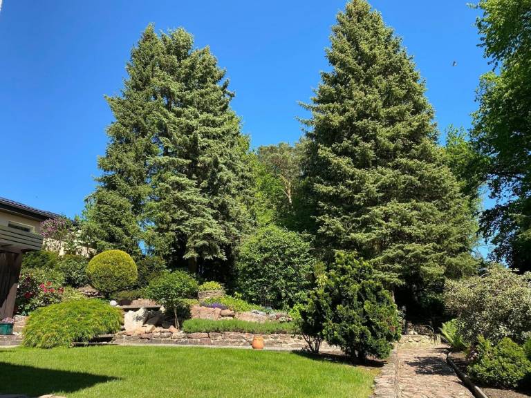 foto14