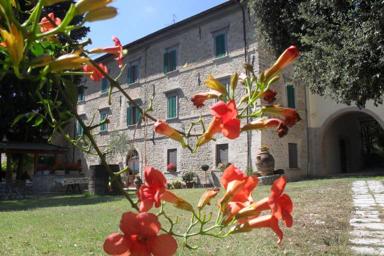 foto7