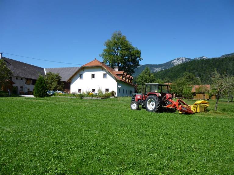 foto25