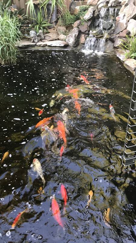 foto14