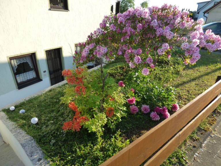 foto19