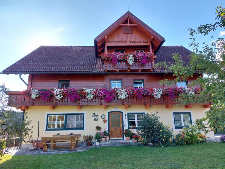 foto11