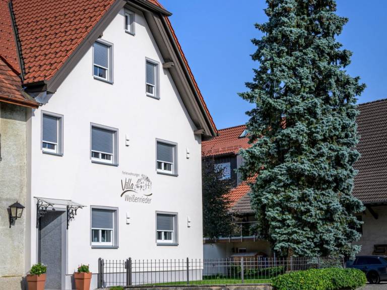 foto15