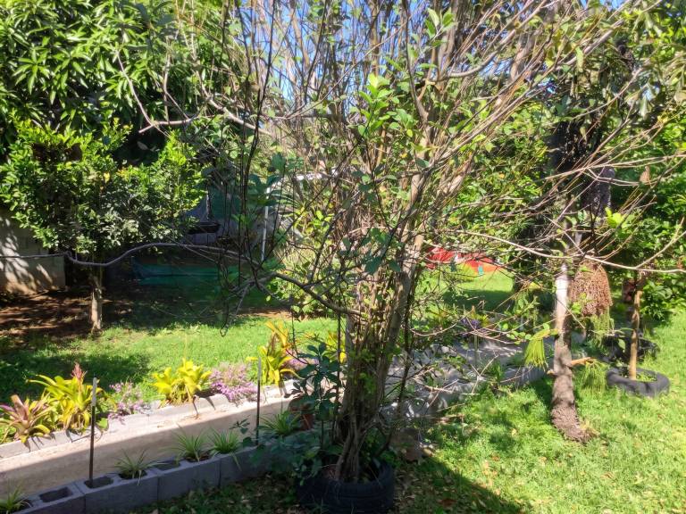 foto16