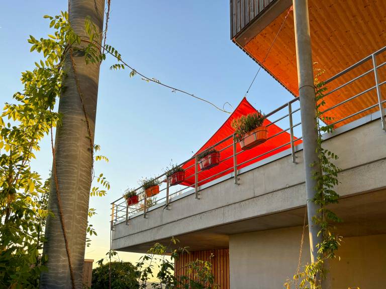 foto36