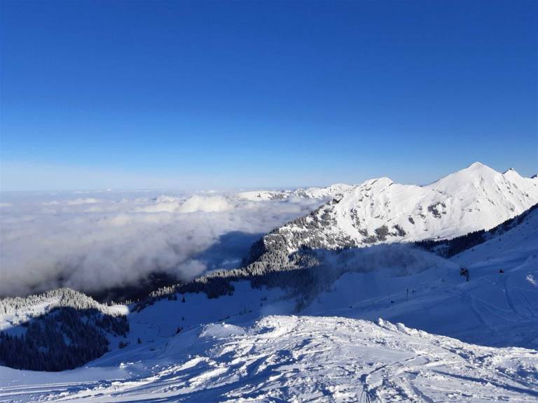foto41