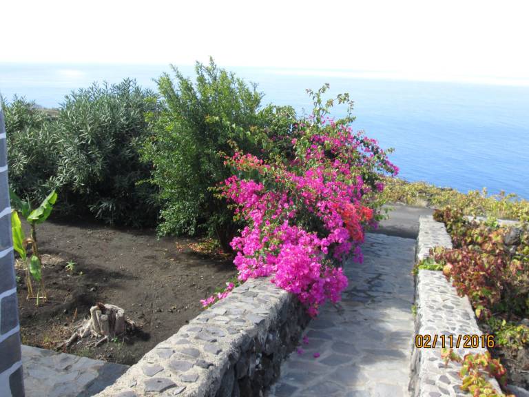 foto14