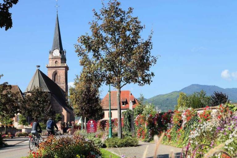 foto2