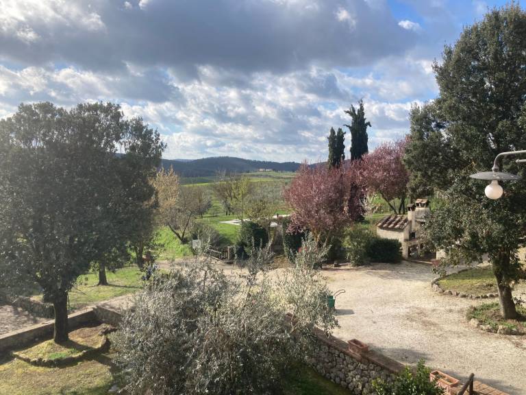 foto15