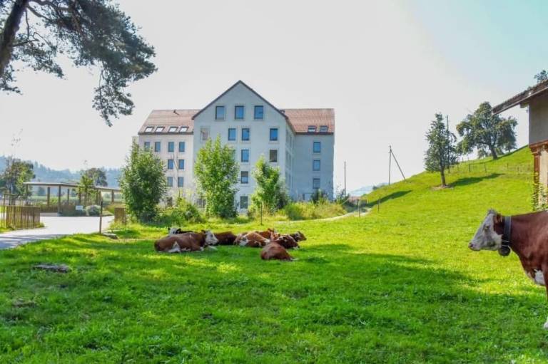 Aparthotel Luzern West