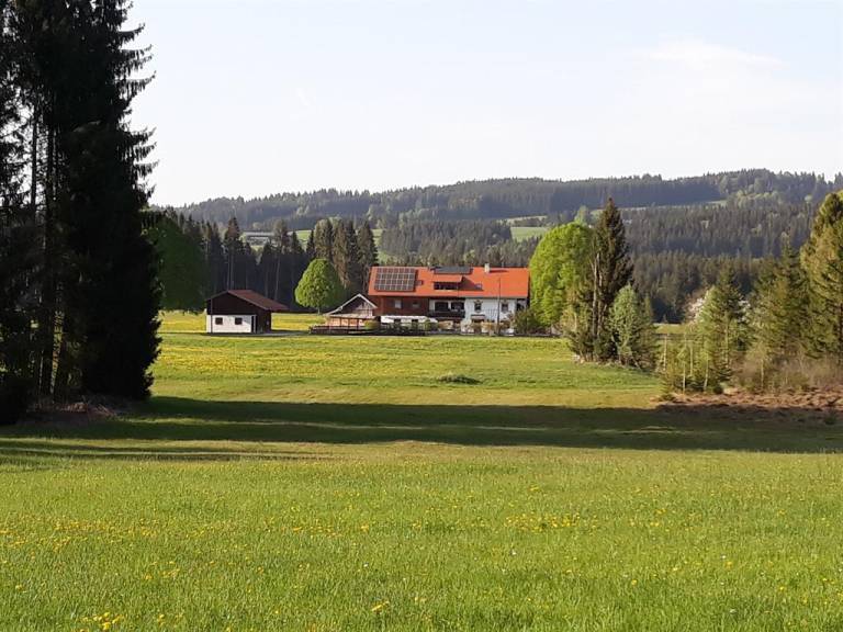 foto4