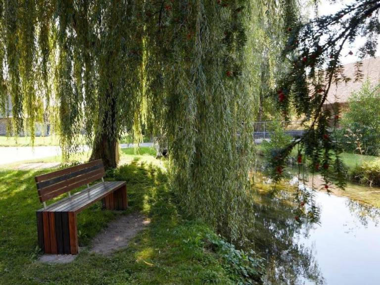 foto21