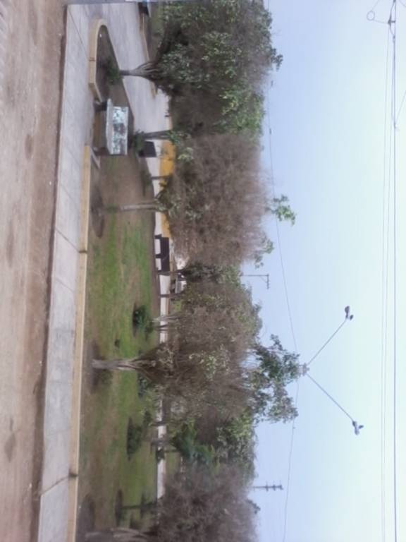 foto8
