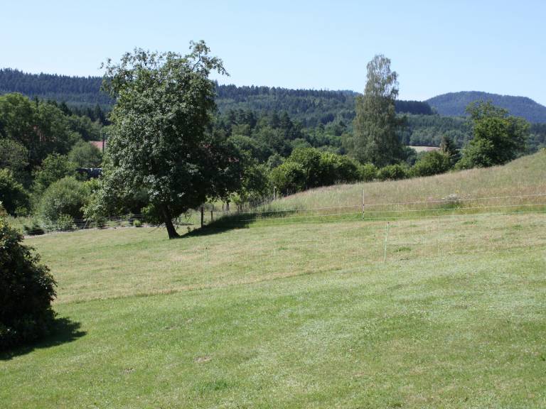 foto15