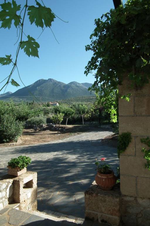 foto7