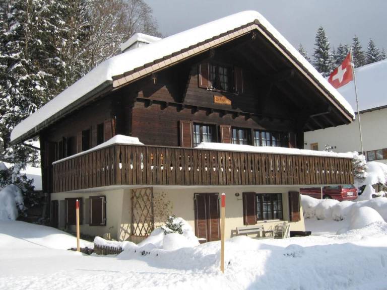 foto1