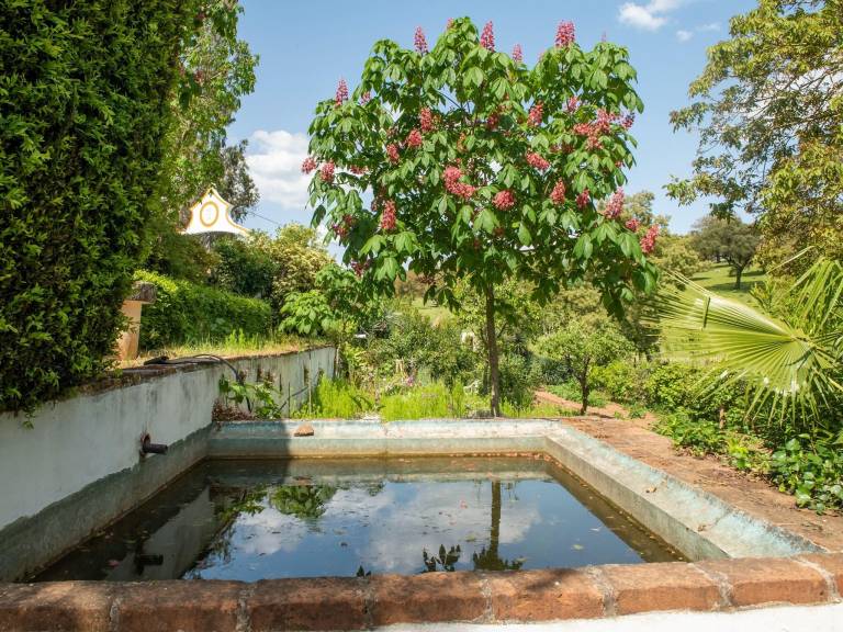 foto28