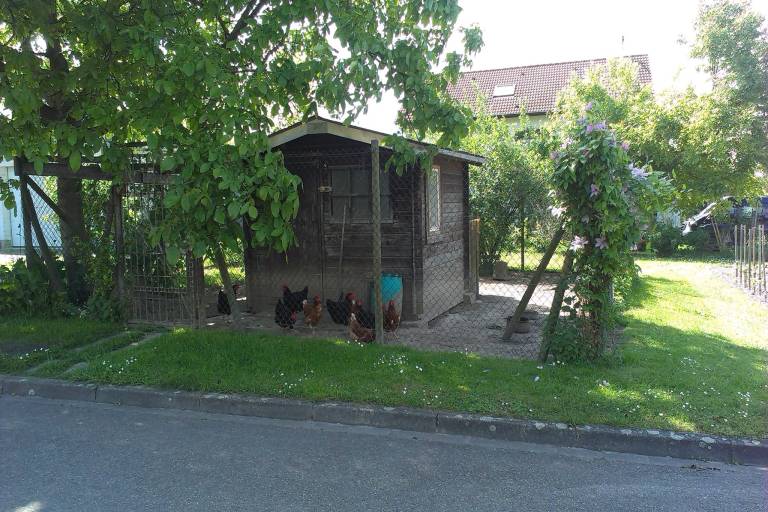 foto15