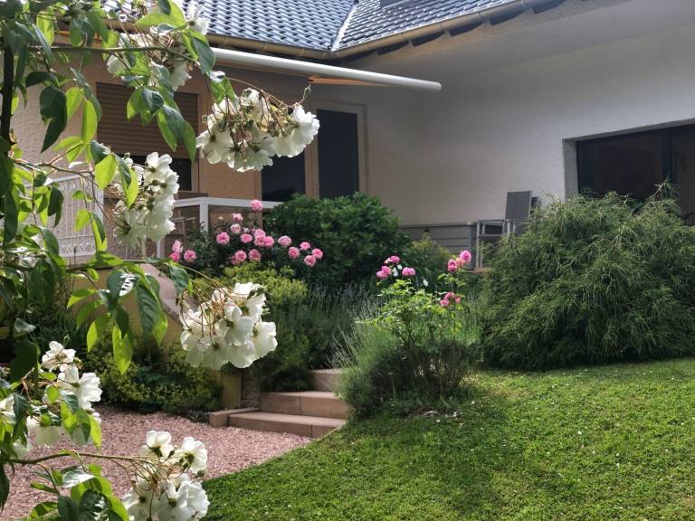 foto20