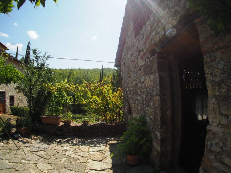 foto6