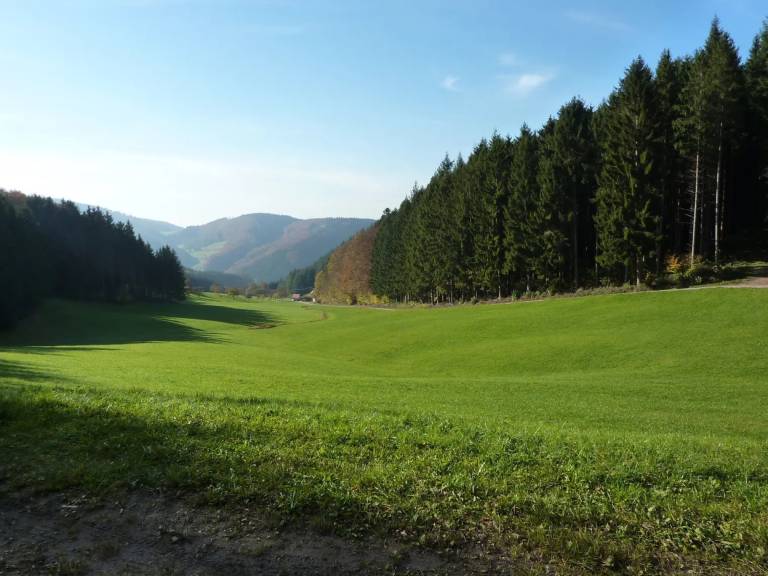 foto21