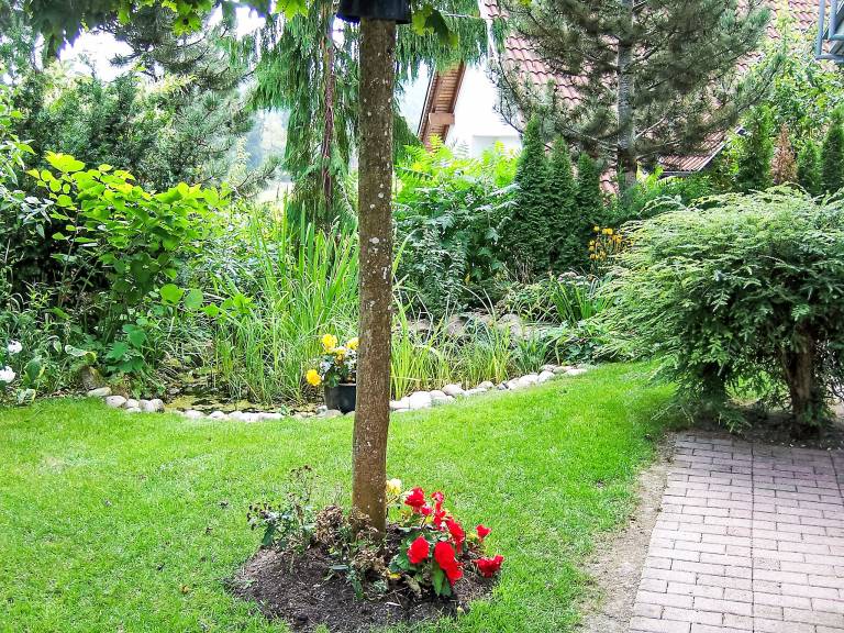foto14