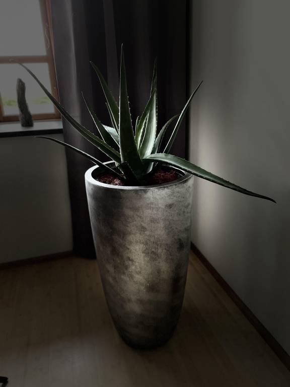 foto29