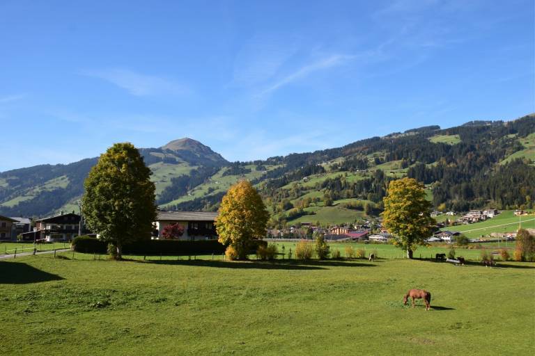 foto11