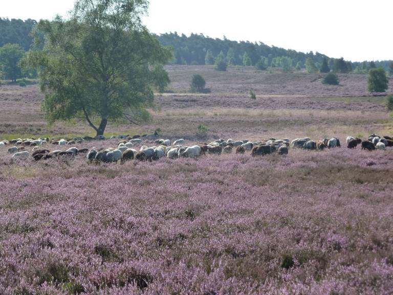 foto16