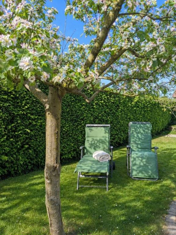 foto20