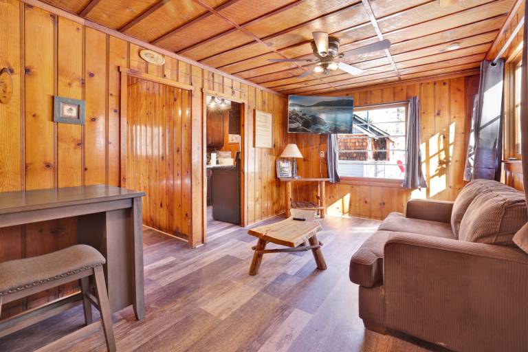 Cabin Big Bear Lake