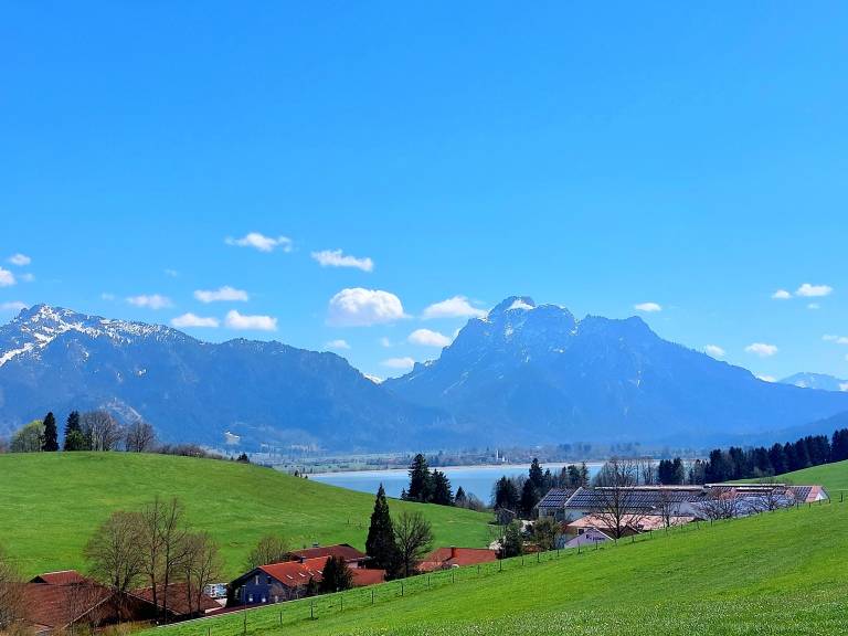 foto4