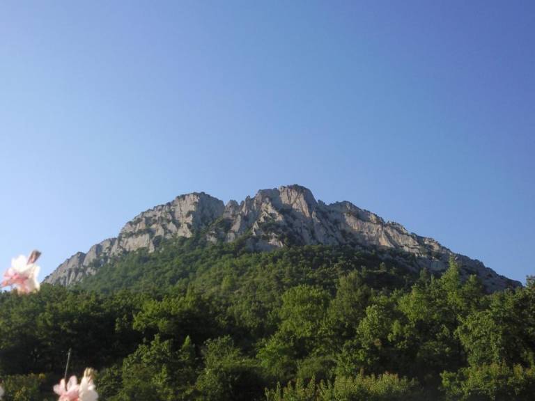 foto19