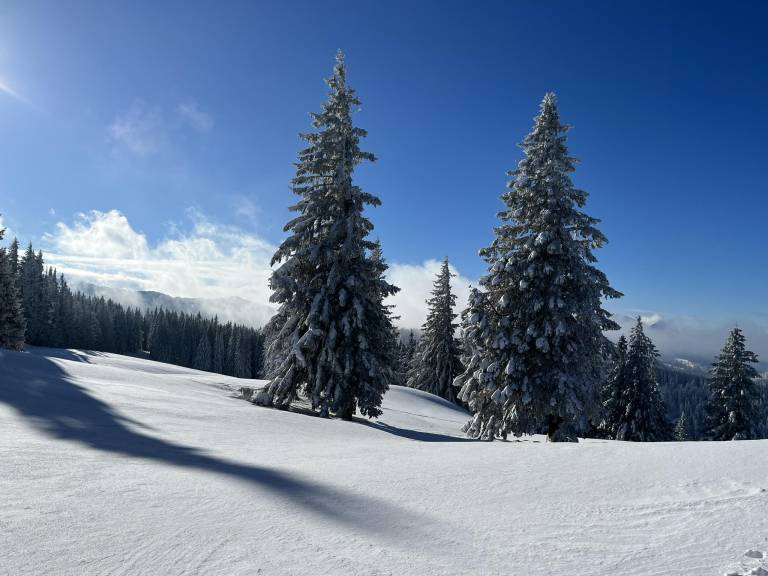 foto16