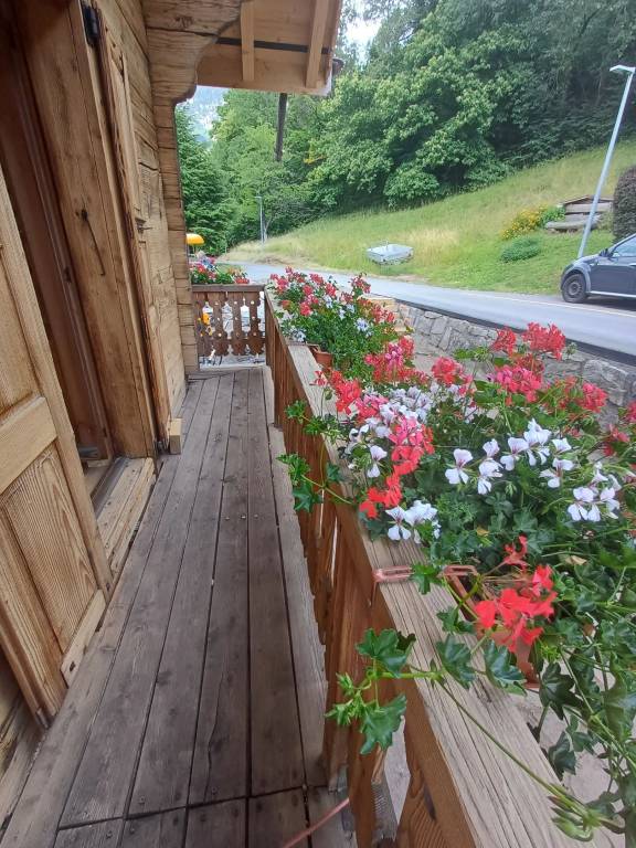 foto15