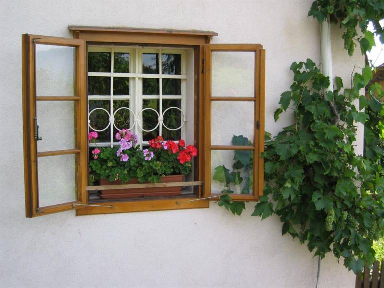 foto34