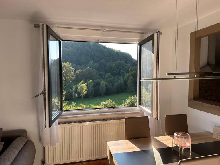 Ferienwohnung Böhrer im schönen Leinleitertal