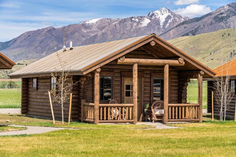 Cabin Livingston