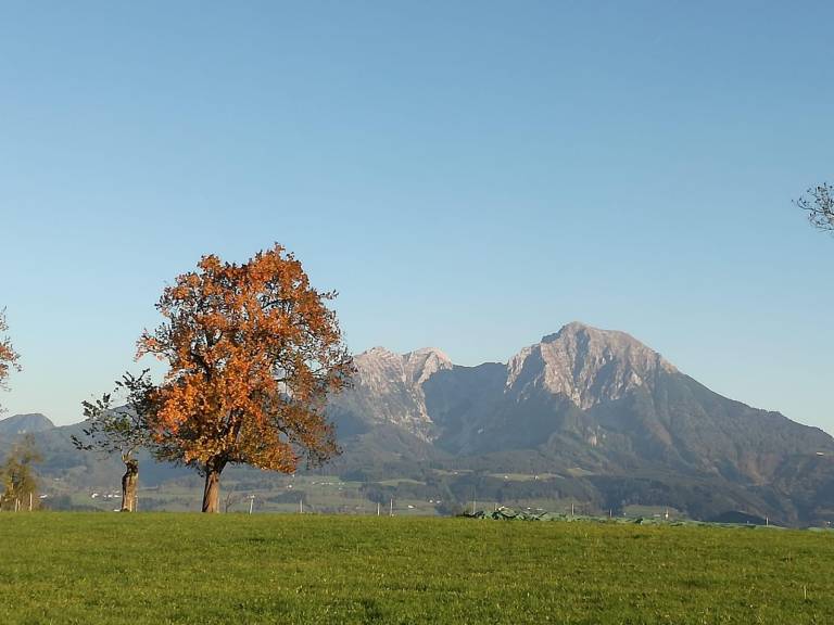 foto43