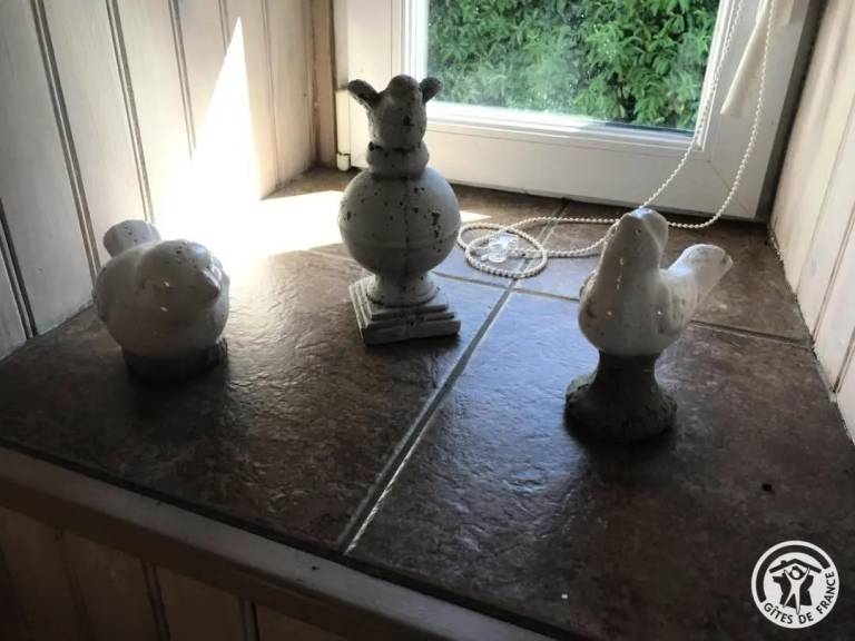 foto37